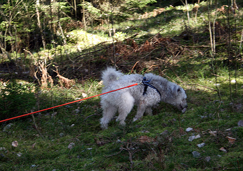 140329_cissi6