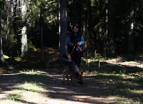 140329_ulrika5