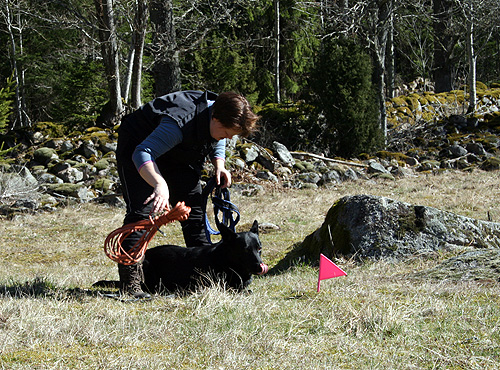 140329_utzzi1