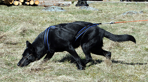 140329_utzzi3