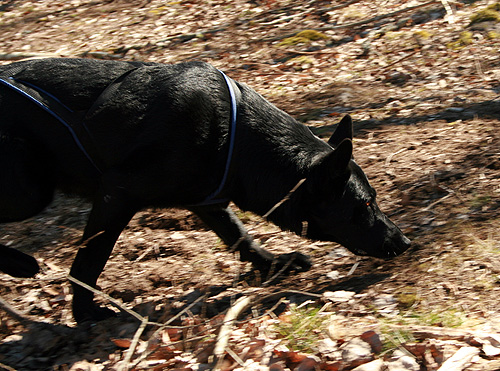 140329_utzzi4