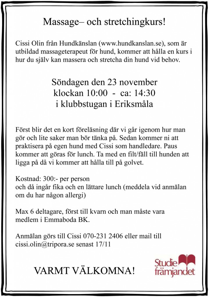 massagekurs141123.pub