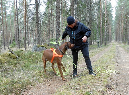 bild3